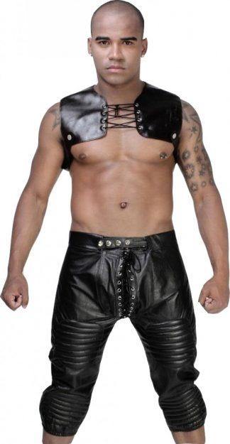Dazzling Leather Cowboy Chaps - Wiseleather